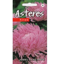 ASTERES JUWEL LILAC ROSE