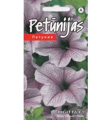 PETŪNIJAS BRIGITTA F1