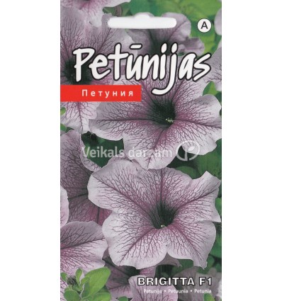 PETŪNIJAS BRIGITTA F1