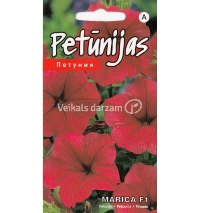 PETŪNIJAS MARICA F1