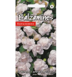 BALZAMĪNES ATHENA F1 APPLEBLOSSOM