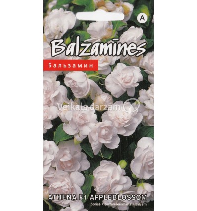 BALZAMĪNES ATHENA F1 APPLEBLOSSOM