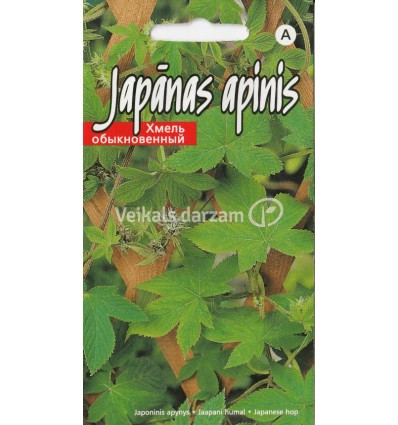 JAPĀNAS APINIS