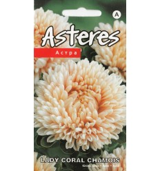 ASTERES LADY CORAL CHAMOIS