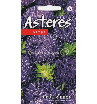 ASTERES BLUE RIBBON