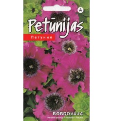 PETŪNIJAS BORDOVAJA