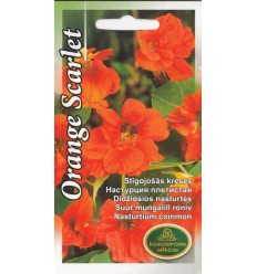 KRESES ORANGE SCARLET