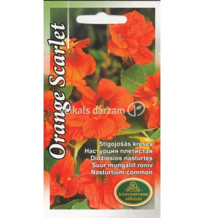 KRESES ORANGE SCARLET