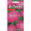 ASTERES LADY CORAL BRILLIANT ROSE