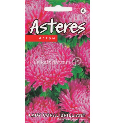 ASTERES LADY CORAL BRILLIANT ROSE