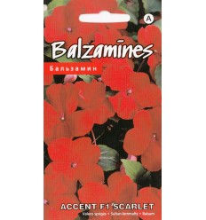 BALZAMĪNES ACCENT F1 SCARLET