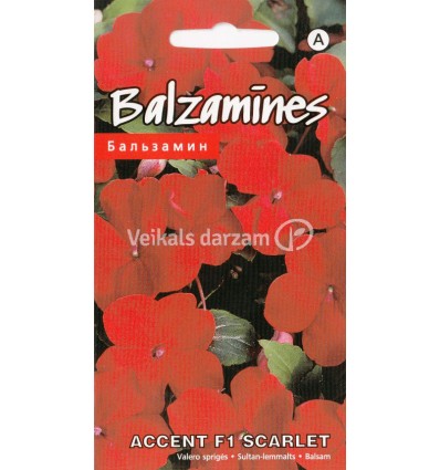 BALZAMĪNES ACCENT F1 SCARLET