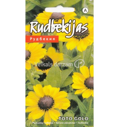 RUDBEKIJAS TOTO GOLD