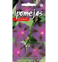 IPOMEJAS KNOWLIANS BLACK