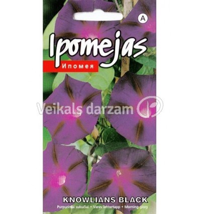 IPOMEJAS KNOWLIANS BLACK