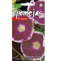 IPOMEJAS MORNING CALL