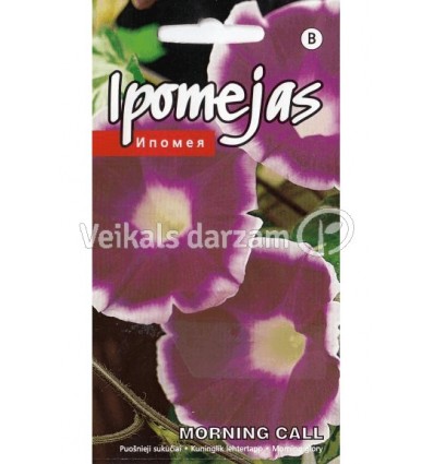 IPOMEJAS MORNING CALL