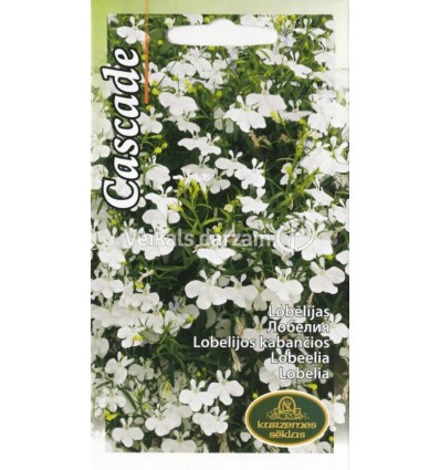 LOBĒLIJAS CASCADE WHITE