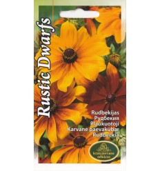 RUDBEKIJAS RUSTIC DWARFS