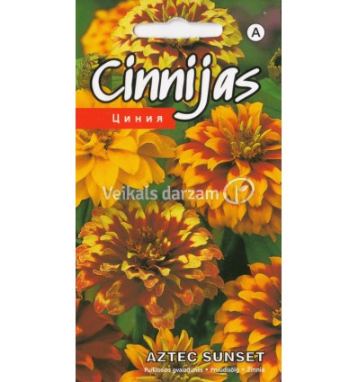 CINNIJAS AZTEC SUNSET