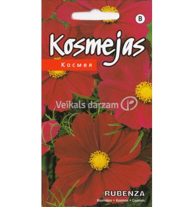 KOSMEJAS RUBENZA