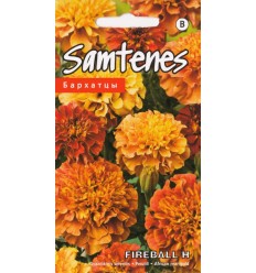 SAMTENES FIREBALL F1