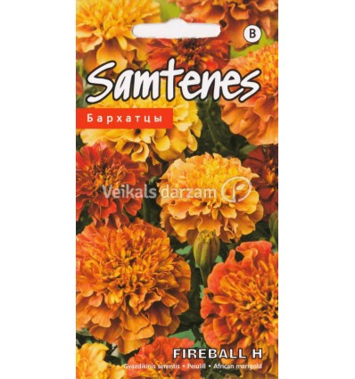 SAMTENES FIREBALL F1