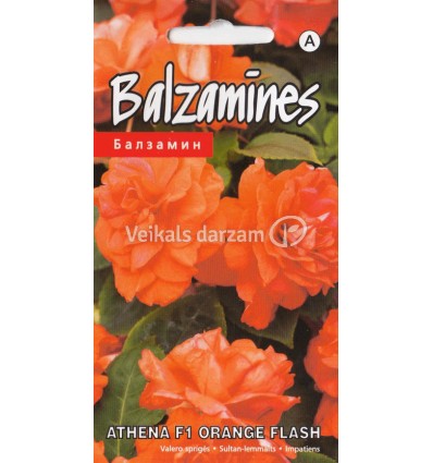 BALZAMĪNES ATHENA F1 ORANGE FLASH