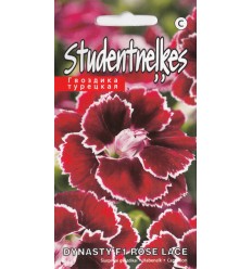 STUDENTU NEĻĶES DYNASTY F1 ROSE LACE