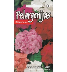 PELARGONIJAS COLORAMA MIX