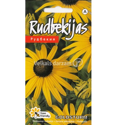 RUDBEKIJAS GOLDSTURM