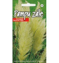 PAMPU ZĀLE PLUME WHITE