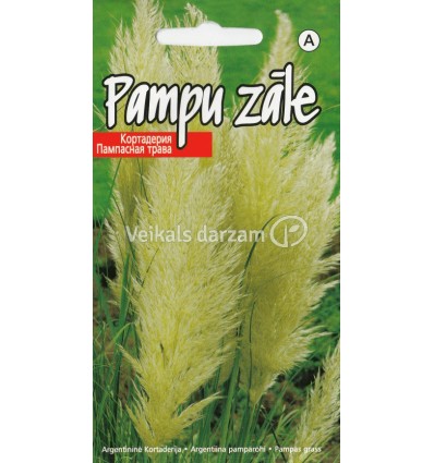 PAMPU ZĀLE PLUME WHITE