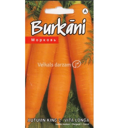 BURKĀNI AUTUMN KING 2/ VITA LONGA