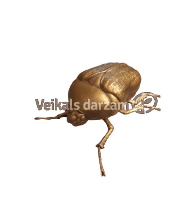 VABOLE 602183 25,5 CM ZELTA