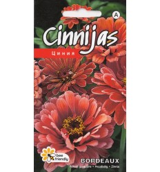 CINNIJAS GLEZNĀS BORDEAUX