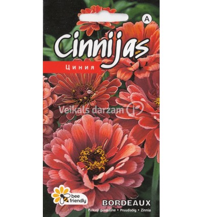 CINNIJAS GLEZNĀS BORDEAUX