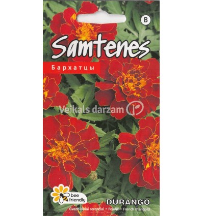 SAMTENES DURANGO RED