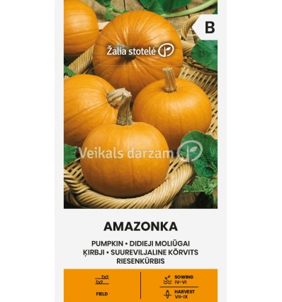 ĶIRBJI AMAZONKA