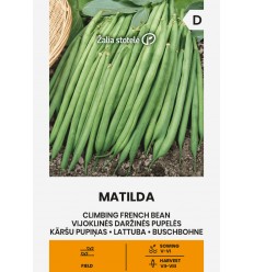 KĀRŠU PUPIŅAS MATILDA