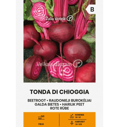 GALDA BIETES TONDA DI CHIOGGIA