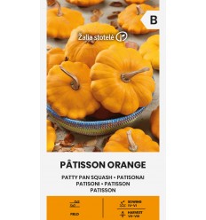 PATISONI PÂTISSON ORANGE