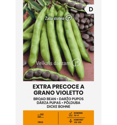 DĀRZA PUPAS EXTRA PRECOCE A GRANO VIOLETTO