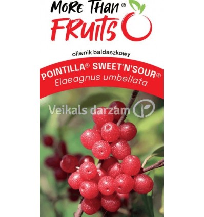 ČEMURU UMBELLATA SWEET NSOUR