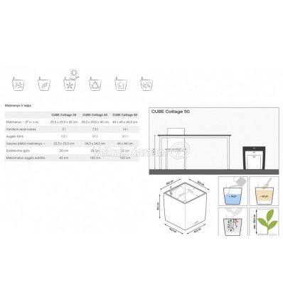 PUĶUPODS CUBE COTTAGE 50 BRŪNS