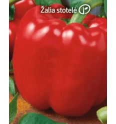 PAPRIKA QUADRATO ROSSO STĀDI