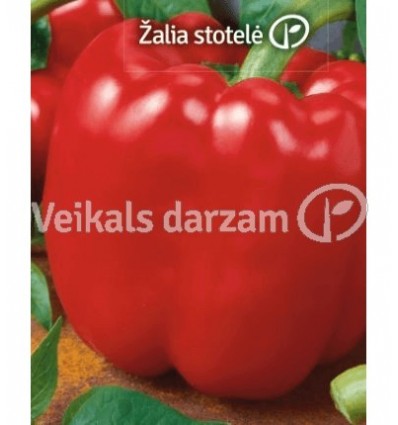 PAPRIKA QUADRATO ROSSO STĀDI