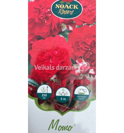 VĪTEŅROZE MOMO® 7l.