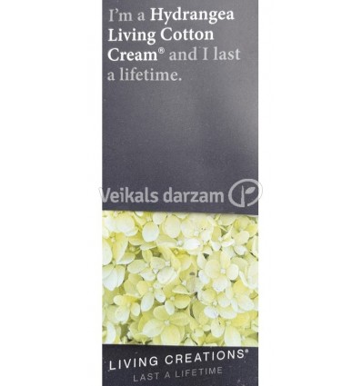 HORTENZIJA SKAR. LIVING COTTON CREAM PA