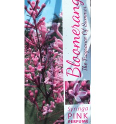 CERIŅI BLOOMERANG PINK PERFUME PA